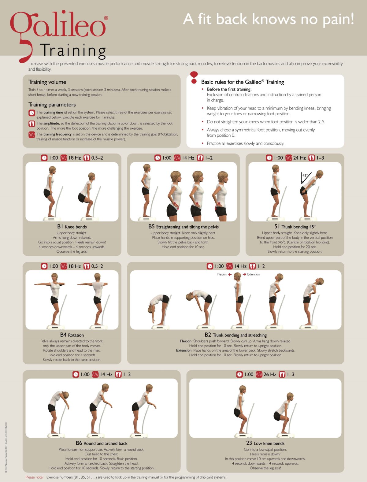 Back Exercises – Galileo USA